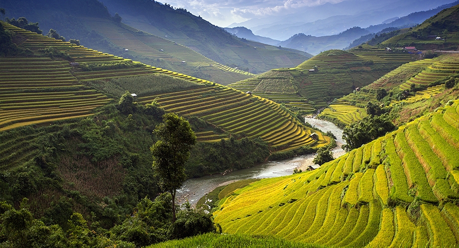 Day 4: Ta Phun - Sa Xeng - Hau Thao - TL152 - Sapa (B, L) (Breakfast, Lunch)